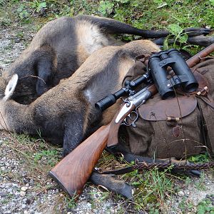 Austria Hunting Chamois