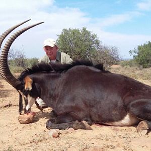 Hunt 40" Sable Antelope South Africa