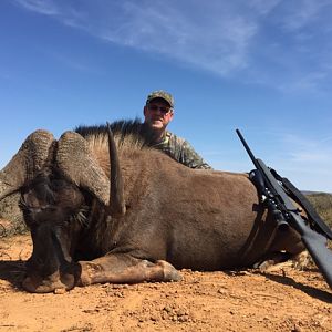 Hunt Black Wildebeest South Africa