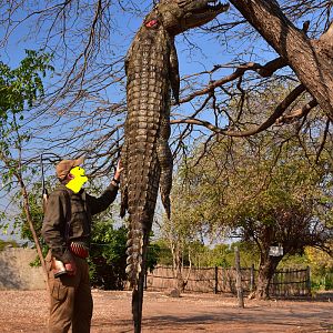 Crocodile Hunt in Mozambique