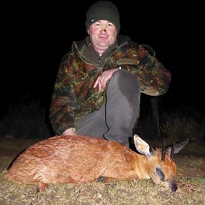 Cape Grysbuck Hunt South AFrica