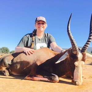 Hunting Blesbok South Africa