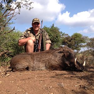 South Africa Warthog Hunt