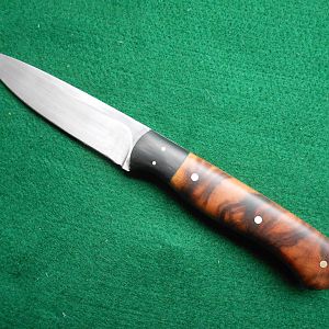 Light Hunter Knife with Buffalo horn bolsters / 3 5/8 N690 Blade