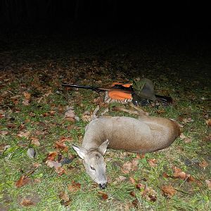 Roe Doe Hunt Slovenia