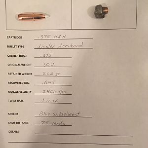 Recovered Bullet Data for Blue Wildebeest