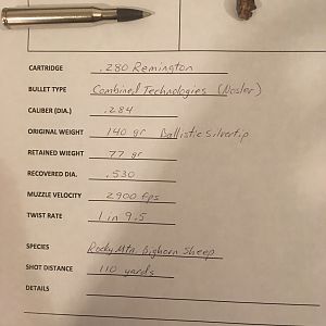 Recovered Bullet Data for Rocky Mountain Bighorn Sheep