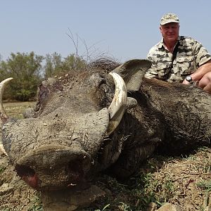 Benin Warthog Hunt