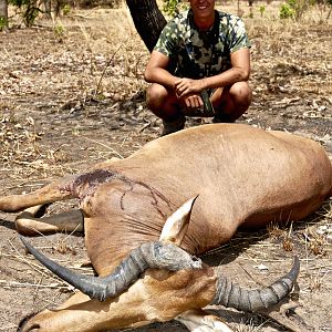 Hunt Western Hartebeest Benin