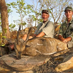 Harnassed Bushbuck Hunting Benin