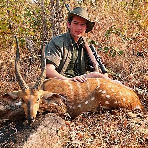 Zambia Harnassed Bushbuck Hunting