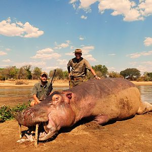 Hippo Hunt In Zambia