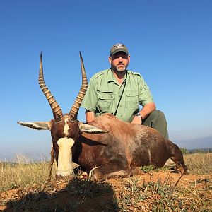 Hunting Blesbok South Africa