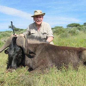 Hunt Black Wildebeest Namibia