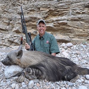 Brown Hyena Hunt Namibia