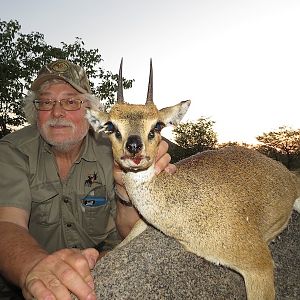 Namibia Hunt Klipspringer