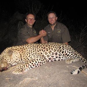 Namibia Hunting Leopard