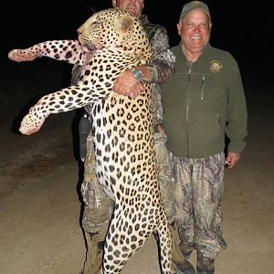 Hunting Leopard Namibia