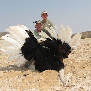 Namibia Ostrich Hunt