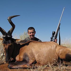 Hunting Namibia Red Hartebeest