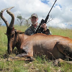 Hunting Namibia Red Hartebeest