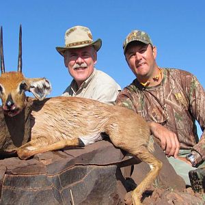 Steenbok Namibia Hunt