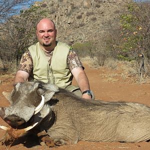 Hunt Warthog Namibia