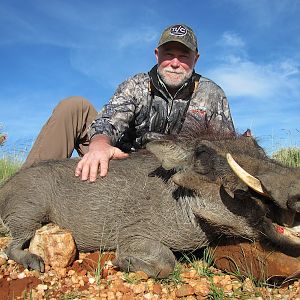 Namibia Warthog Hunt