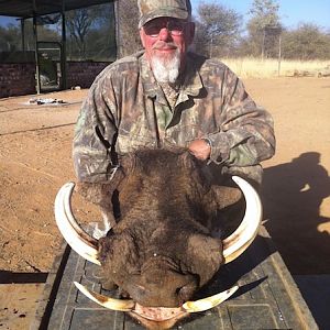 Warthog Namibia Hunting