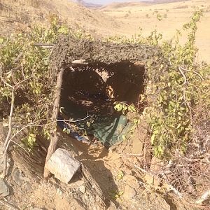 Namibia Leopard Hide