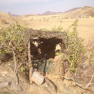 Leopard Hide Namibia