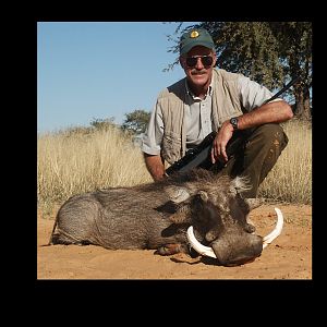 Warthog Hunting South Africa