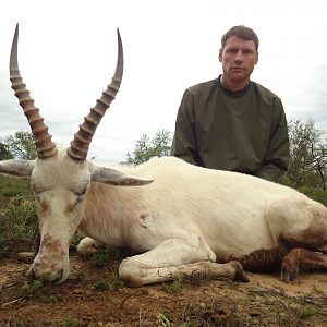 South Africa Hunting White Blesbok