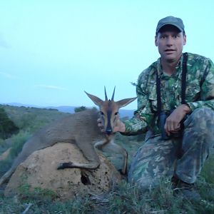 Duiker Hunting South Africa