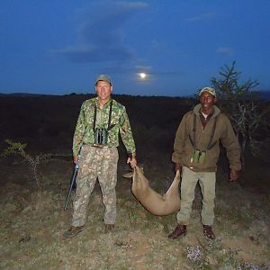 Duiker Hunting South Africa