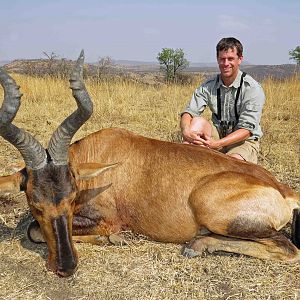 Hartebeest