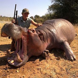 Hippo Hunt In Zimbabwe