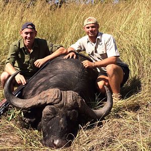 Zimbabwe Cape Buffalo Hunt