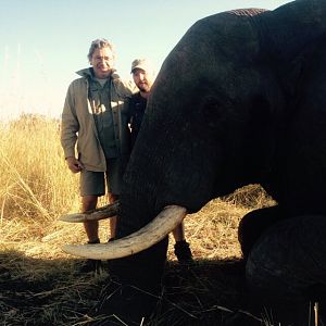 Zimbabwe Hunting Elephant