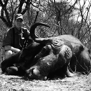 Hunting Buffalo Zimbabwe