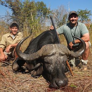 Cape Buffalo Zimbabwe Hunt