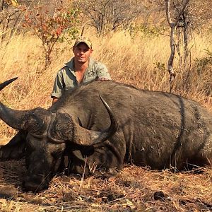 Hunting Buffalo Zimbabwe