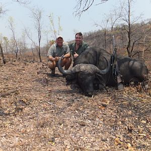 Hunting Zimbabwe Cape Buffalo