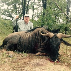 Zimbabwe Blue Wildebeest Hunting