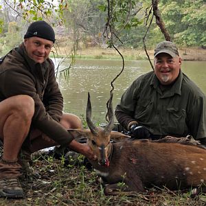 Bushbuck Zimbabwe Hunting