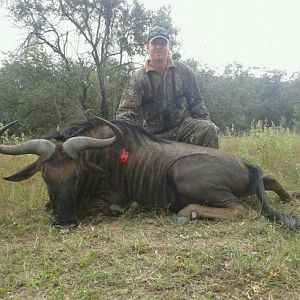 Hunt Zimbabwe Blue Wildebeest