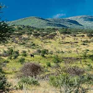 Nature Namibia Landscape