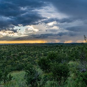 Landscape Namibia Nature