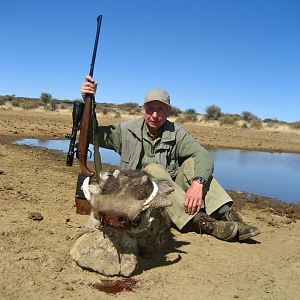 Warthog Namibia Hunt