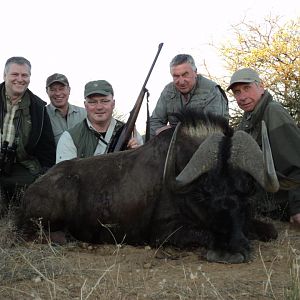 Hunt Namibia Black Wildebeest